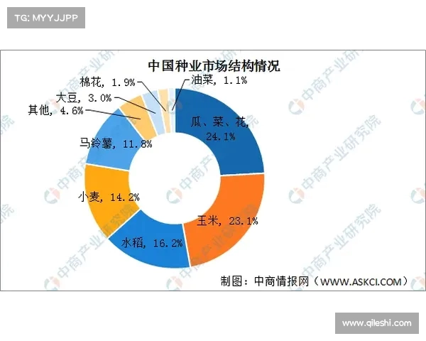 2025赛季法甲射手榜前十名球员表现解析与竞争态势分析 2025赛季法甲射手榜前十名球员表现解析与竞争态势分析